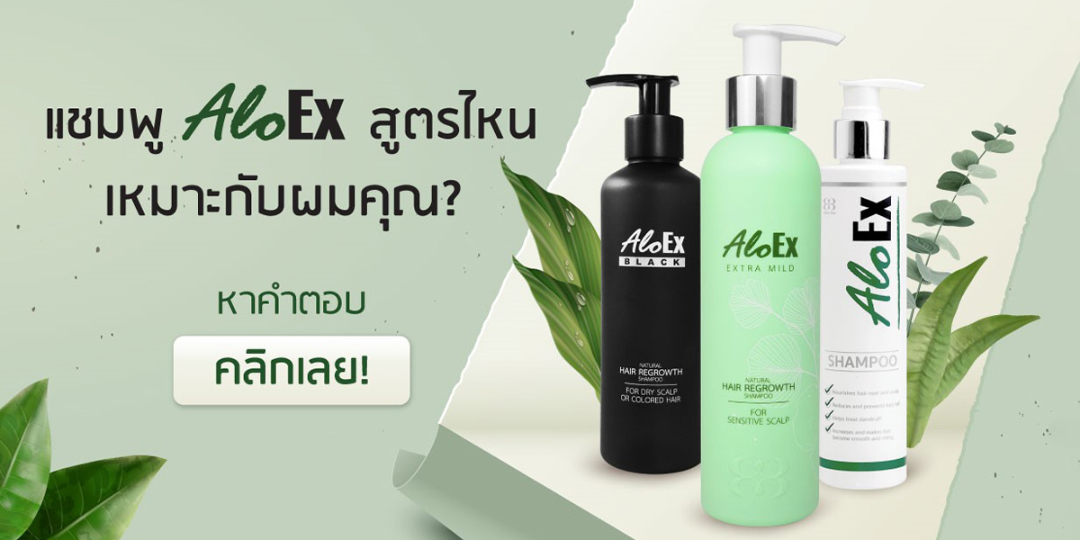 เทียบให้ชัด! แชมพูลดผมร่วง AloEx สูตรไหนที่ใช่สำหรับศีรษะและเส้นผมคุณ