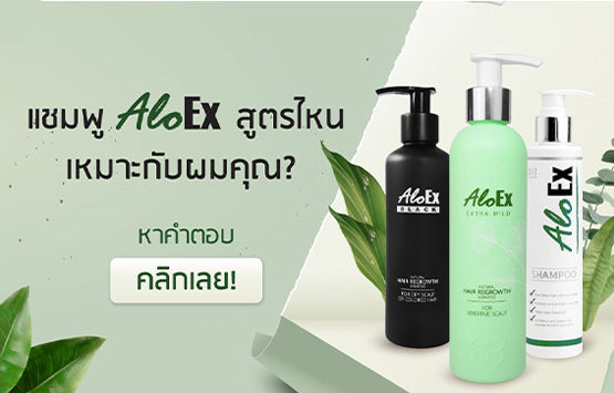เทียบให้ชัด! แชมพูลดผมร่วง AloEx สูตรไหนที่ใช่สำหรับศีรษะและเส้นผมคุณ