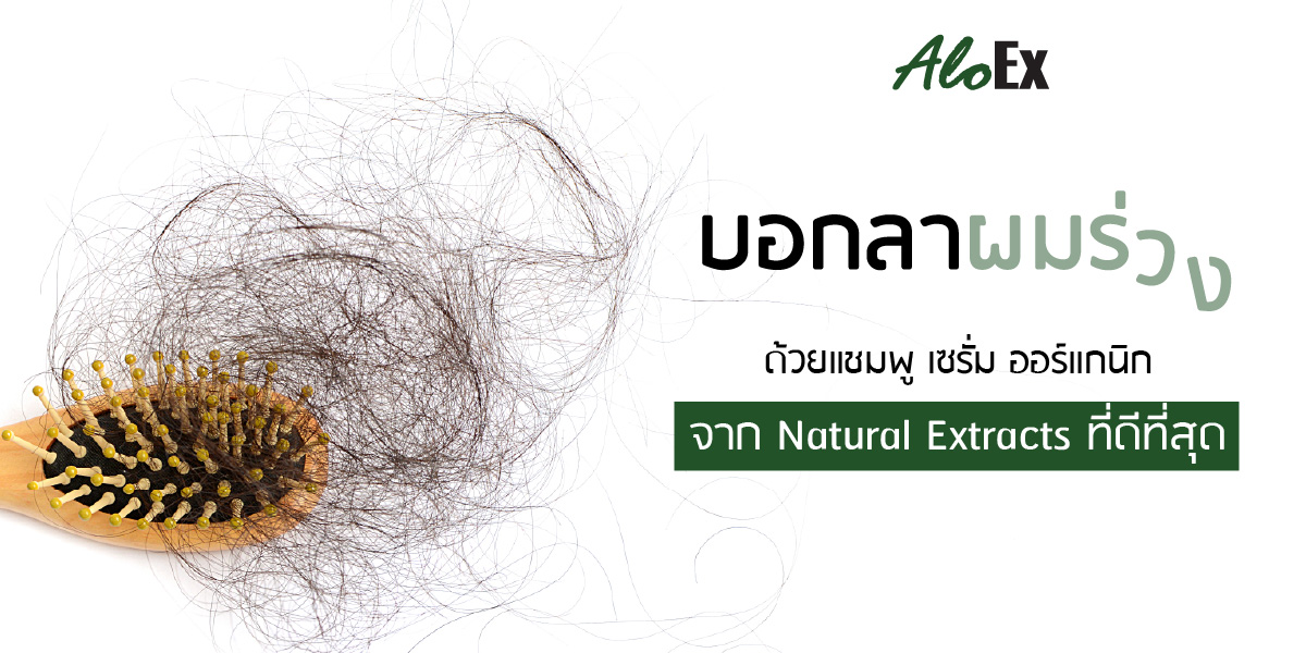 บอกลาผมร่วง ด้วยแชมพู เซรั่ม ออร์แกนิกจาก Natural Extracts ที่ดีที่สุด