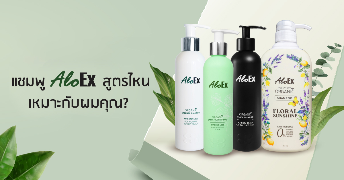 เทียบให้ชัด! แชมพูลดผมร่วง AloEx สูตรไหนที่ใช่สำหรับศีรษะและเส้นผมคุณ