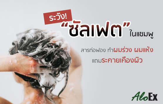 ระวัง! "ซัลเฟต" ในแชมพู สารก่อฟองทำผมร่วง ผมแห้ง แถมระคายเคืองผิว