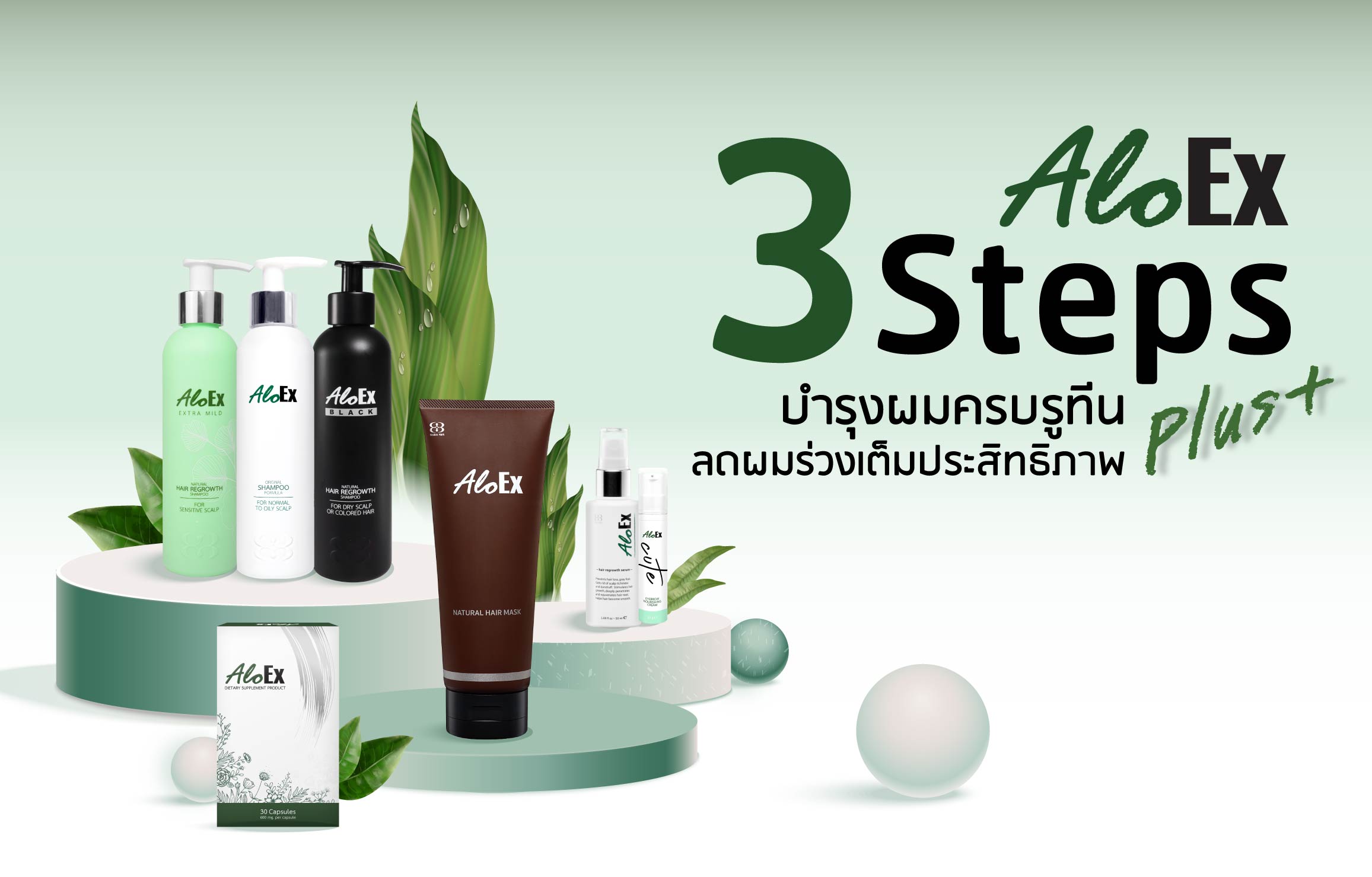 3 Steps Plus+