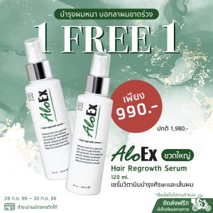 1 free 1 promotion