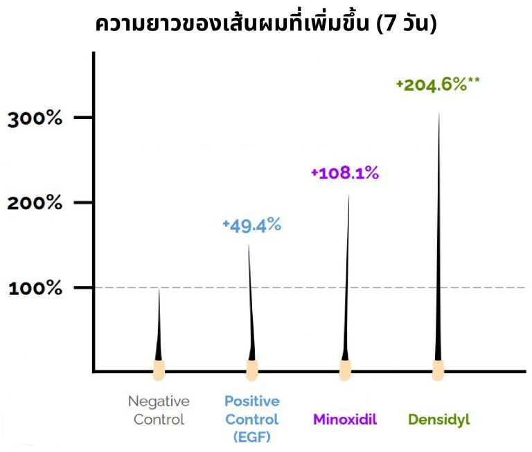 กราฟความยาวผมจาก Densidyl