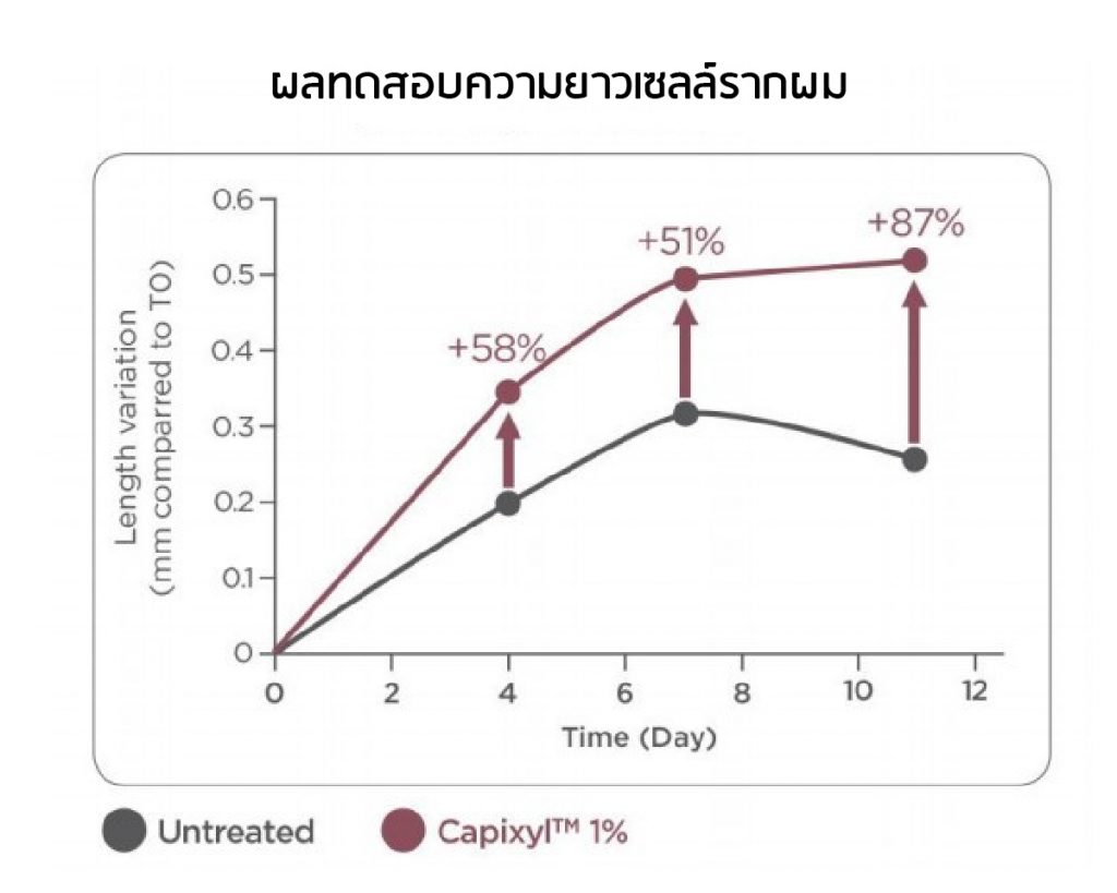 ผลทดสอบ Capixil ความยาวเซลล์รากผม