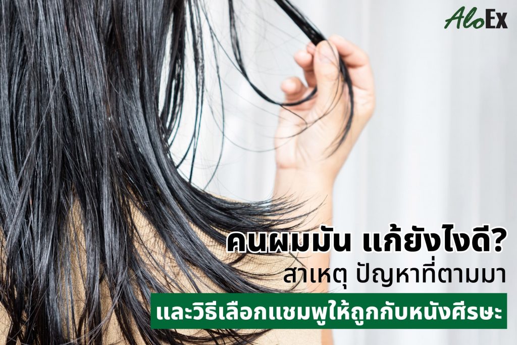 AloEx แชมพูสำหรับผมมัน